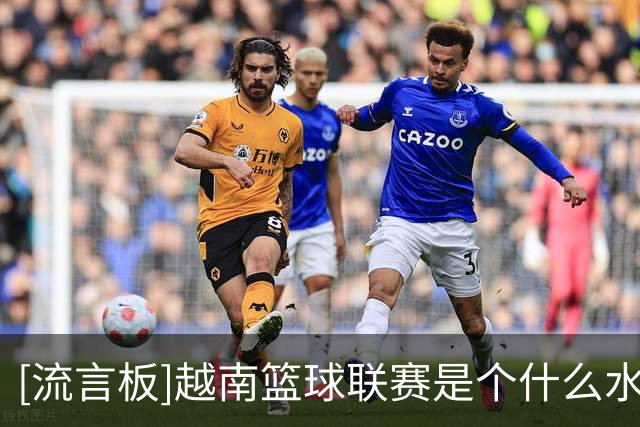 [流言板]越南篮球联赛是个什么水平？低于中国野球水平